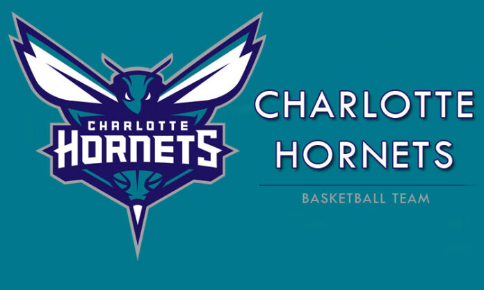 Charlotte Hornets Roster - NBA Players - Basketball Players