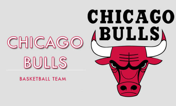 Chicago Bulls Roster - NBA Players - Basketball Players